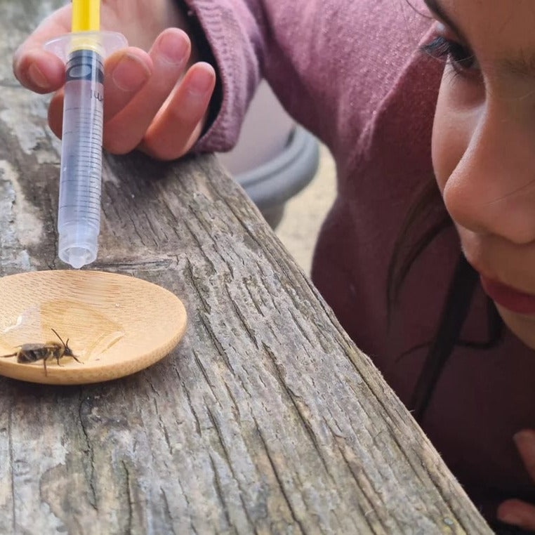 Making Kits Bee Rescue Kit homeware shops bristol gift shops bristol Nature Nurture Kids