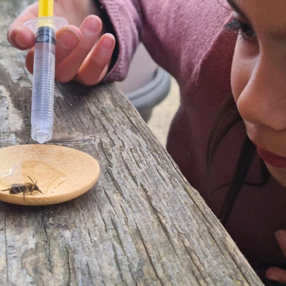 Making Kits Bee Rescue Kit homeware shops bristol gift shops bristol Nature Nurture Kids