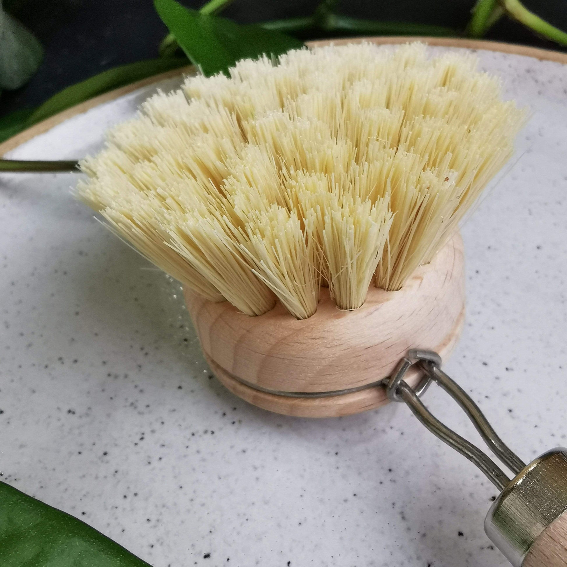 Eco Cleaning Products Long Handle Eco Bamboo Dish Brushes - Long Handle homeware shops bristol gift shops bristol Ecovibe