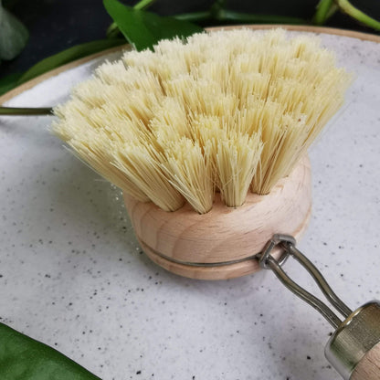 Eco Cleaning Products Long Handle Eco Bamboo Dish Brushes - Long Handle homeware shops bristol gift shops bristol Ecovibe