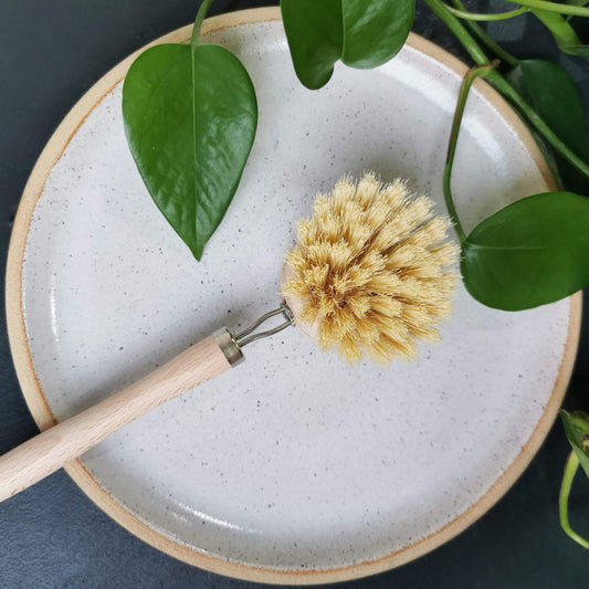 Eco Cleaning Products Long Handle Eco Bamboo Dish Brushes - Long Handle homeware shops bristol gift shops bristol Ecovibe