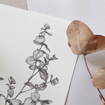 Prints Giclée Print A5 'Eucalyptus' homeware shops bristol gift shops bristol Sky Siouki