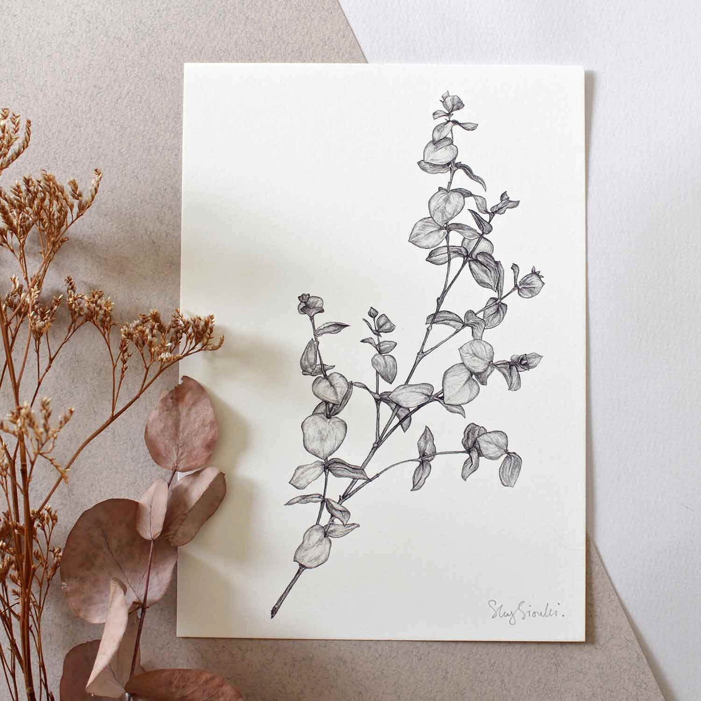 Prints Giclée Print A5 'Eucalyptus' homeware shops bristol gift shops bristol Sky Siouki