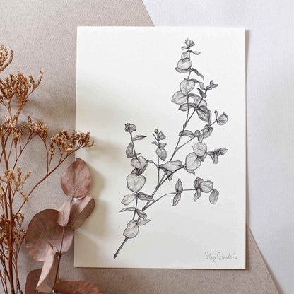 Prints Giclée Print A5 'Eucalyptus' homeware shops bristol gift shops bristol Sky Siouki