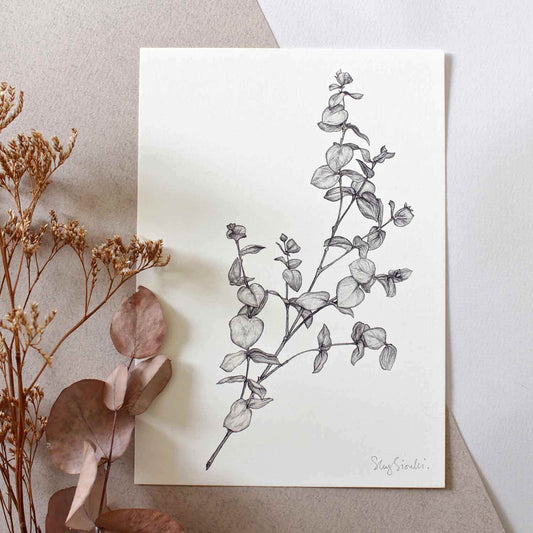 Prints Giclée Print A5 'Eucalyptus' homeware shops bristol gift shops bristol Sky Siouki