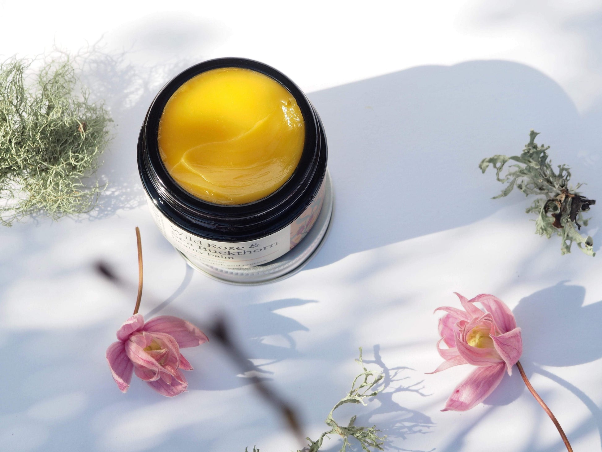 Skincare Wild Rose & Sea Buckthorn Beauty Balm homeware shops bristol gift shops bristol VerdeKin