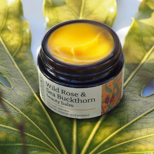 Skincare Wild Rose & Sea Buckthorn Beauty Balm homeware shops bristol gift shops bristol VerdeKin