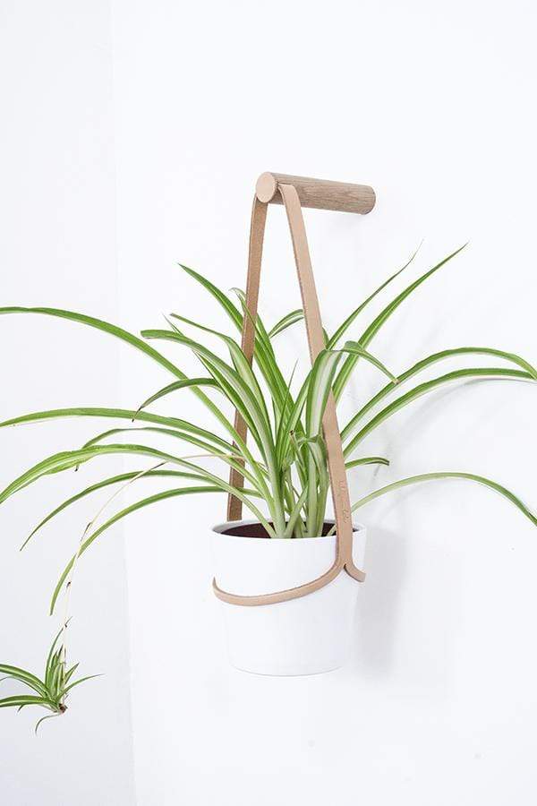 Plant Hanger Light Tan / Medium Peg Wall Hanger with Hanging Pot (various sizes and colours) homeware shops bristol gift shops bristol Wolfram Lohr