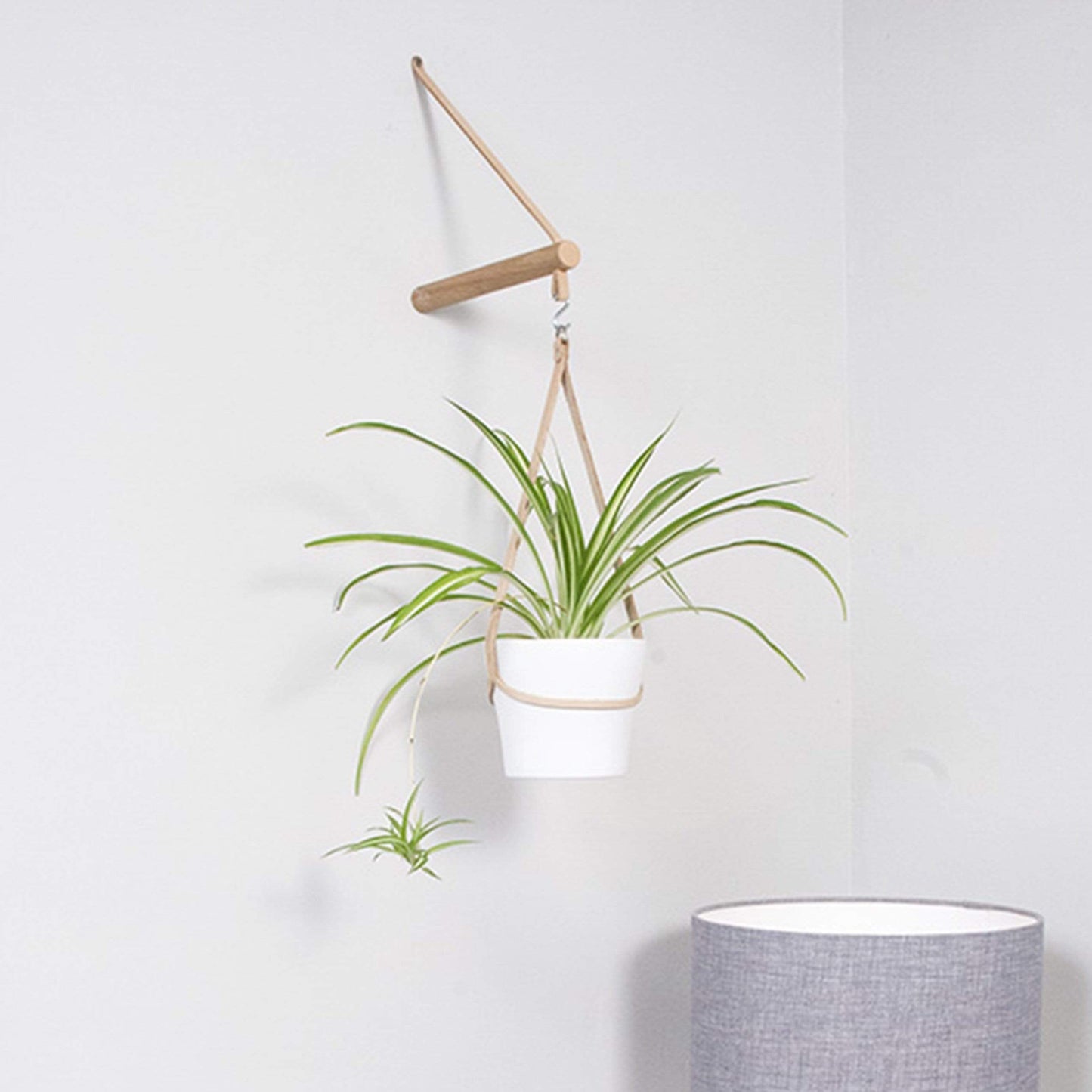 Plant Hanger Wood and Leather Peg Hanger (various colours) homeware shops bristol gift shops bristol Wolfram Lohr
