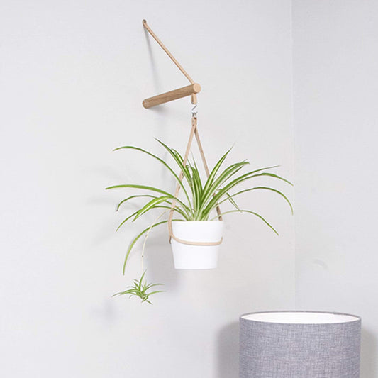 Plant Hanger Wood and Leather Peg Hanger (various colours) homeware shops bristol gift shops bristol Wolfram Lohr