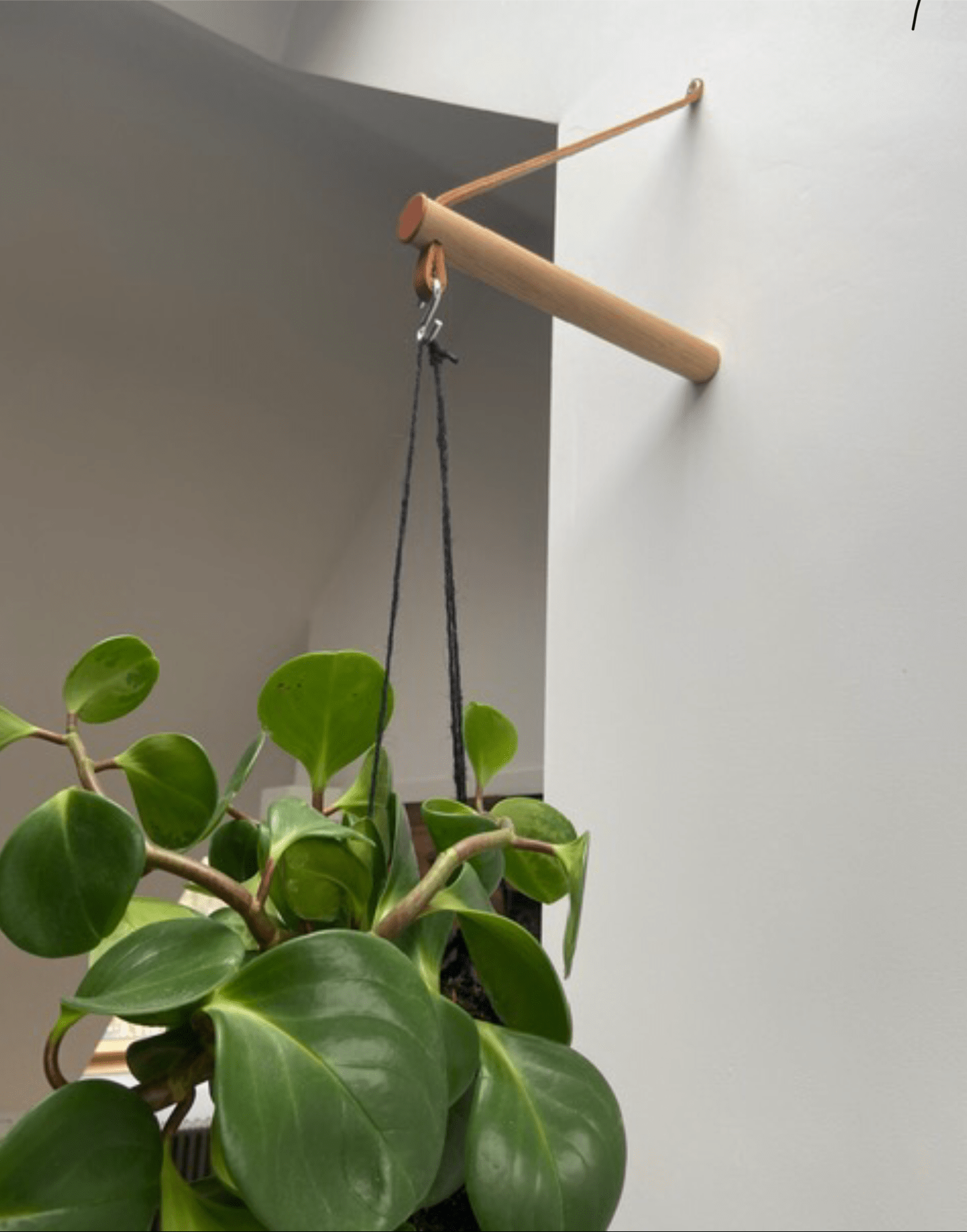 Plant Hanger Wood and Leather Peg Hanger (various colours) homeware shops bristol gift shops bristol Wolfram Lohr