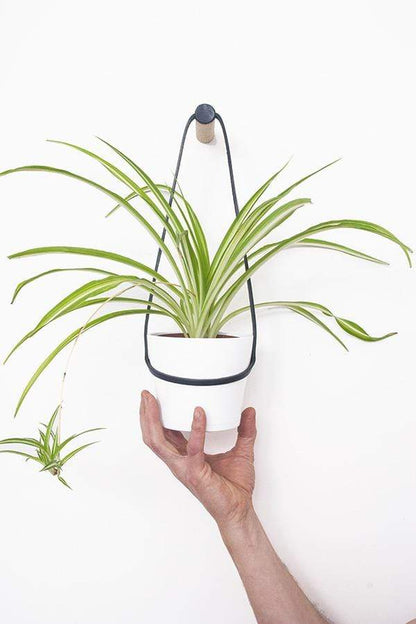 Plant Hanger Peg Wall Hanger with Hanging Pot (various sizes and colours) homeware shops bristol gift shops bristol Wolfram Lohr