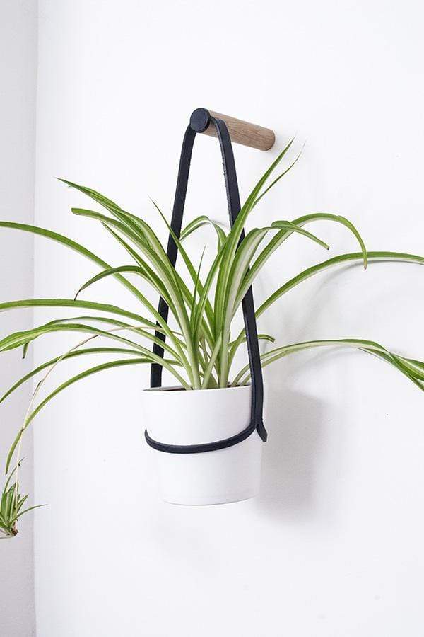 Plant Hanger Black / Medium Peg Wall Hanger with Hanging Pot (various sizes and colours) homeware shops bristol gift shops bristol Wolfram Lohr