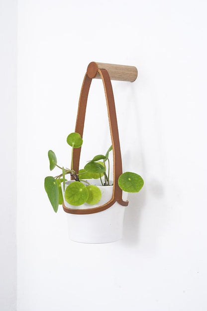 Plant Hanger Peg Wall Hanger with Hanging Pot (various sizes and colours) homeware shops bristol gift shops bristol Wolfram Lohr