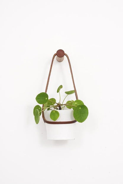 Plant Hanger Peg Wall Hanger with Hanging Pot (various sizes and colours) homeware shops bristol gift shops bristol Wolfram Lohr