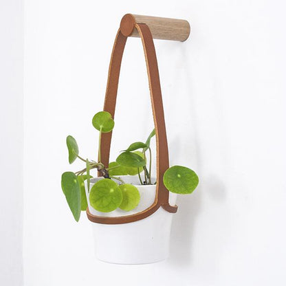 Plant Hanger Peg Wall Hanger with Hanging Pot (various sizes and colours) homeware shops bristol gift shops bristol Wolfram Lohr