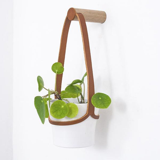 Plant Hanger Peg Wall Hanger with Hanging Pot (various sizes and colours) homeware shops bristol gift shops bristol Wolfram Lohr