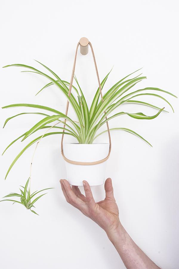 Plant Hanger Tan / Small Peg Wall Hanger with Hanging Pot (various sizes and colours) homeware shops bristol gift shops bristol Wolfram Lohr